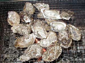 寄島での釣果?